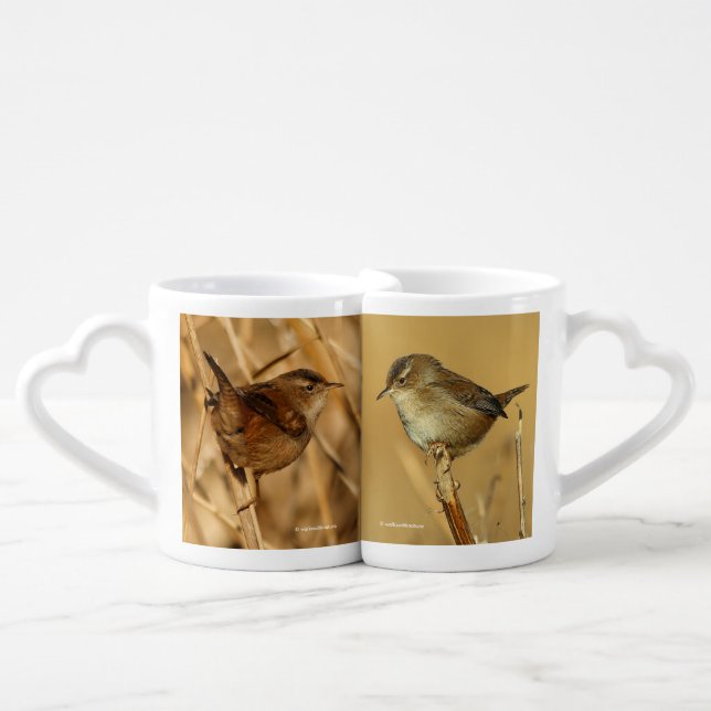 A Pair of Marsh Wrens Coffee Mug Set (Front Nesting)