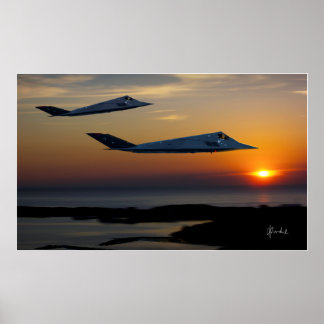 A Pair of Nighthawks Poster