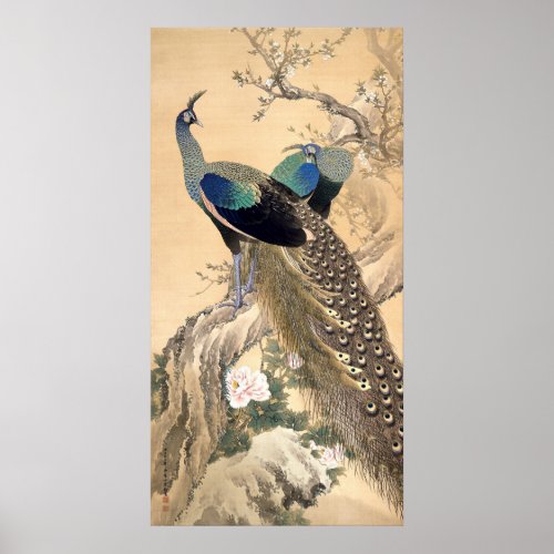 A Pair of Peacocks in Spring 1901 Japanese Art Poster