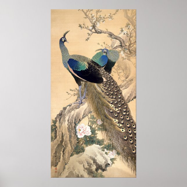 A Pair of Peacocks in Spring 1901 Japanese Art Poster (Front)