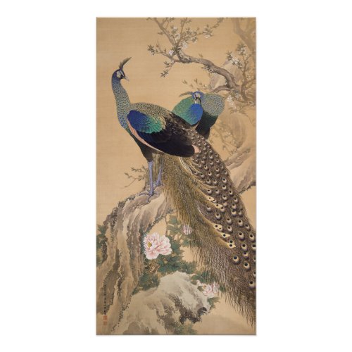 A Pair of Peacocks in Spring by Imao Keinen Poster