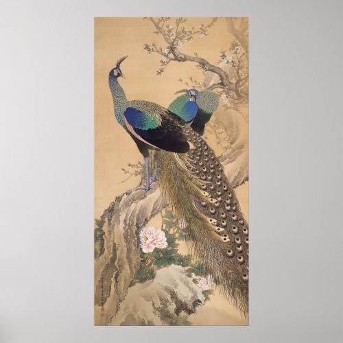 A Pair of Peacocks in Spring by Imao Keinen Poster