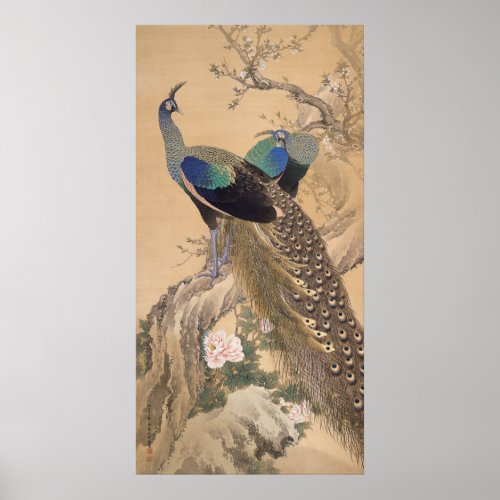 A Pair of Peacocks in Spring by Imao Keinen Poster