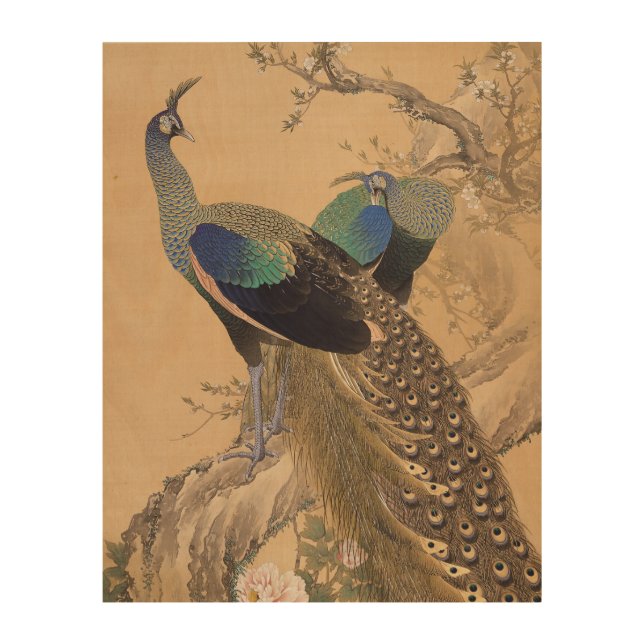 A Pair of Peacocks in Spring by Imao Keinen Wood Wall Art (Front)