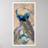 A Pair of Peacocks in Spring by Imao Keinen Poster | Zazzle