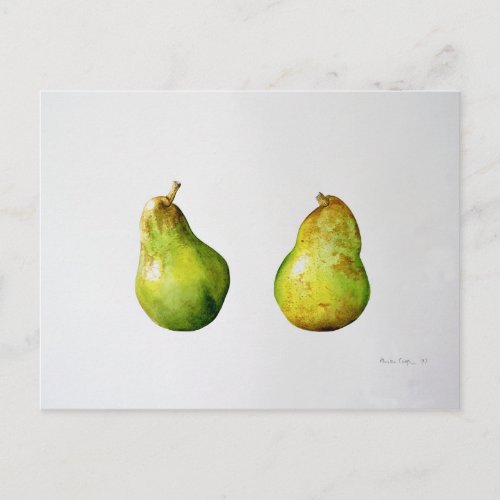 A Pair of Pears 1997 Postcard