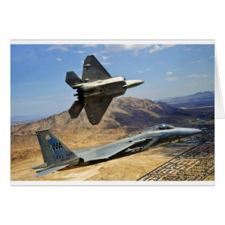 A PAIR OF RAPTOR'S CARDS