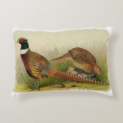 A pair of Ring necked pheasants in a grassy field Accent Pillow
