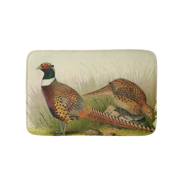 A pair of Ring necked pheasants in a grassy field Bathroom Mat (Front)