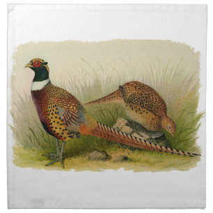 A pair of Ring necked pheasants in a grassy field Cloth Napkin