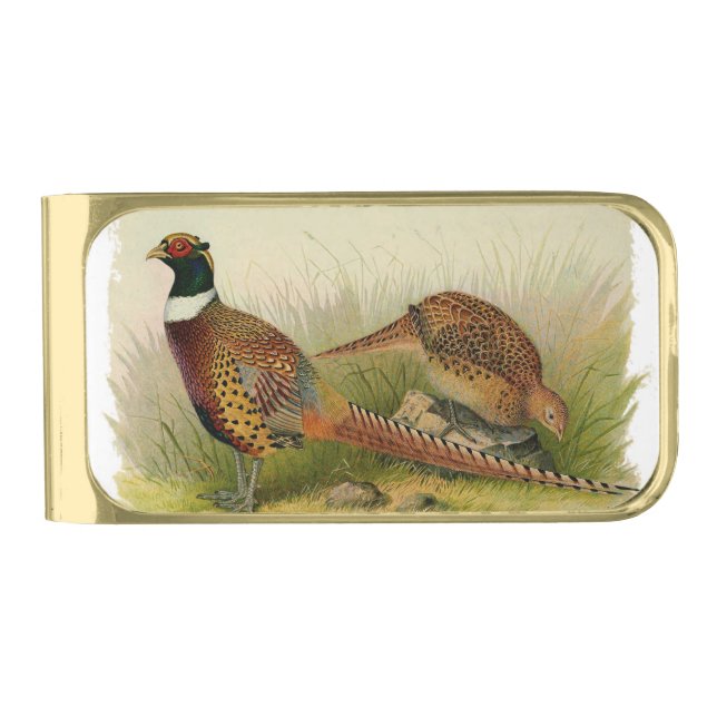 A pair of Ring necked pheasants in a grassy field Gold Finish Money Clip (Front)