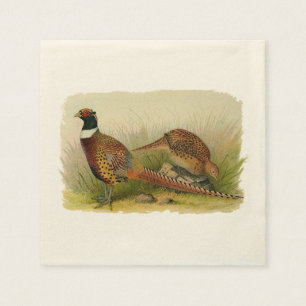 A pair of Ring necked pheasants in a grassy field Paper Napkins