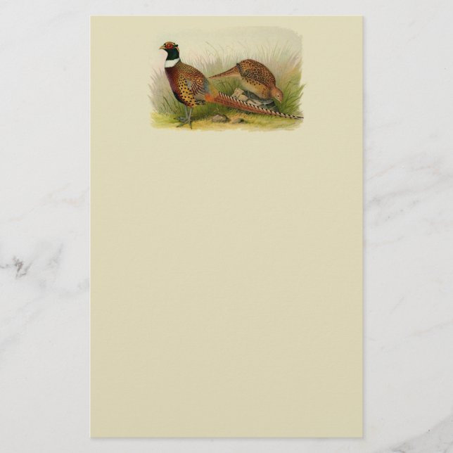 A pair of Ring necked pheasants in a grassy field Stationery (Front)