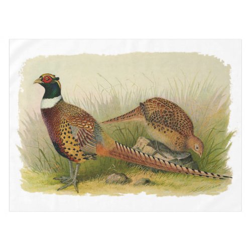 A pair of Ring necked pheasants in a grassy field Tablecloth