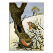 A Pair of Robins (Front)