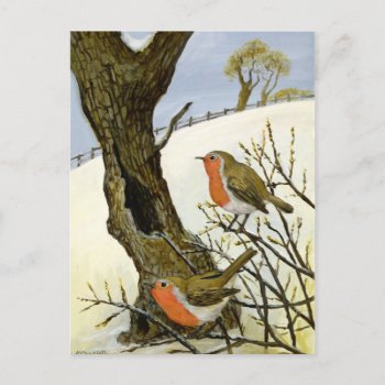 A Pair Of Robins Postcard by BridgemanStudio at Zazzle