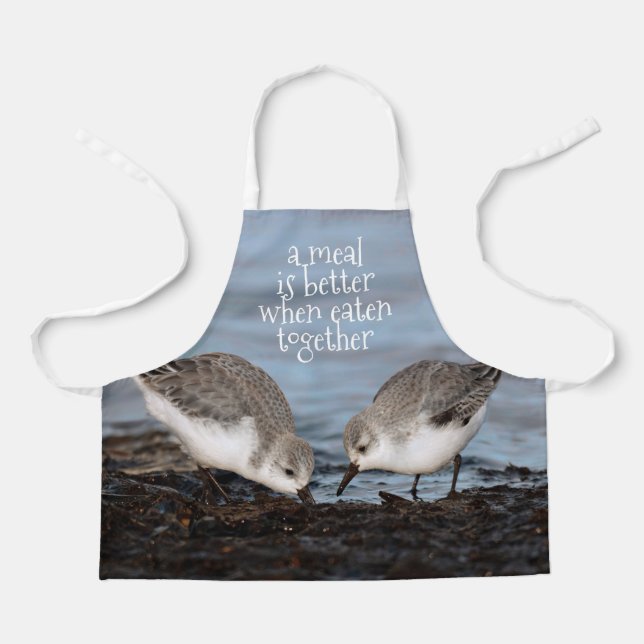 A Pair of Sanderlings Sandpipers Shorebirds Shares Apron (Front)