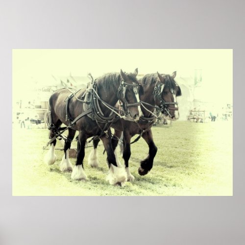 A PAIR OF SHIRES POSTER