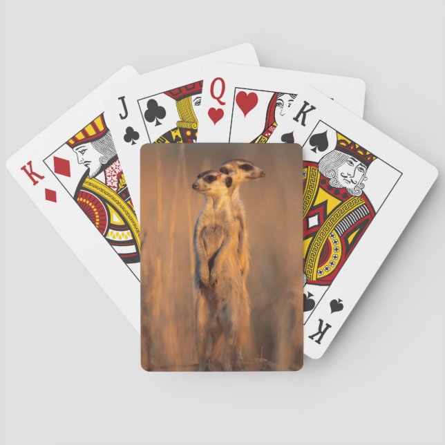 A pair of Suricates standing on a rock at sunset Poker Cards (Back)