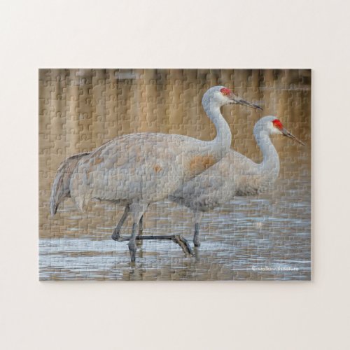A Pair of Wading Greater Sandhill Cranes Jigsaw Puzzle