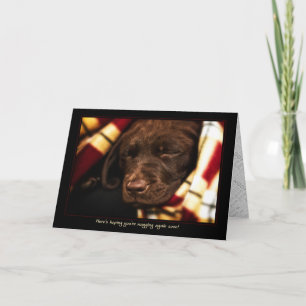 A-PAL -Labrador Retriever Puppy Get Well Card