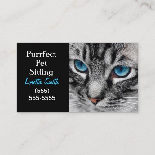 A_PAL _ Silver Tabby Cat with Blue Eyes Close Up Business Card