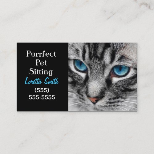 A-PAL - Silver Tabby Cat with Blue Eyes Close Up Business Card Template