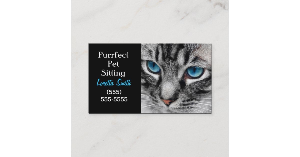 A Pal Silver Tabby Cat With Blue Eyes Close Up Business Card Zazzle Com