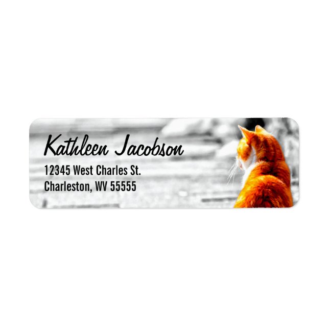 A-PAL Tinted Orange Tabby Cat Painting Custom Label (Front)