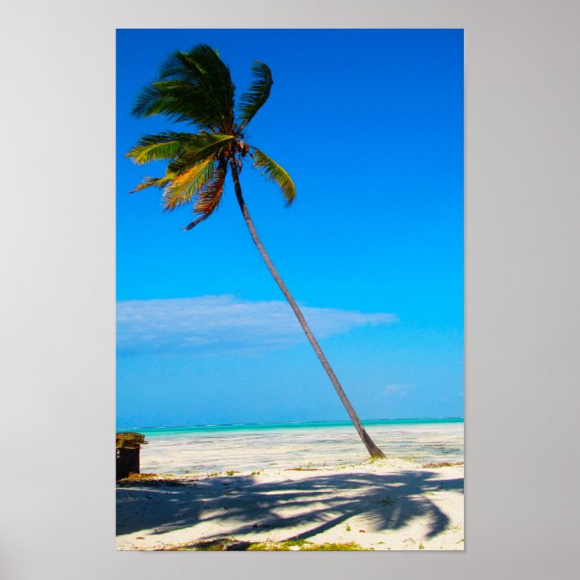 A Palm Poster (Front)