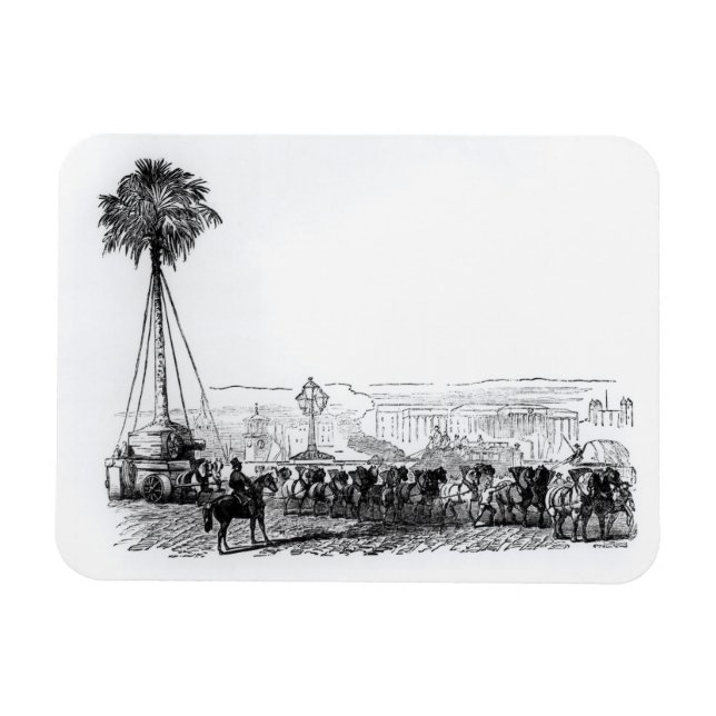 A palm tree being transported to Hyde Park for the Magnet (Horizontal)