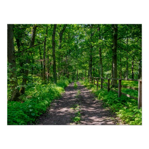 A path in the green forest poster