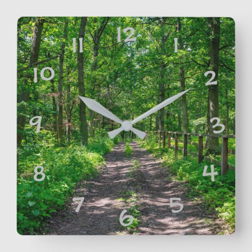 A path in the green forest square wall clock