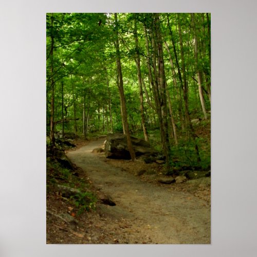 A Path in the Woods Poster