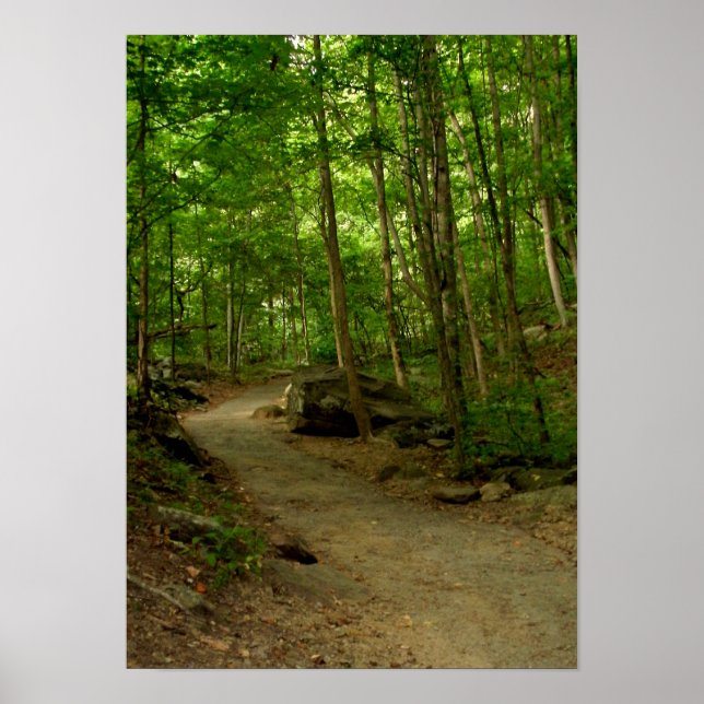 A Path in the Woods Poster (Front)
