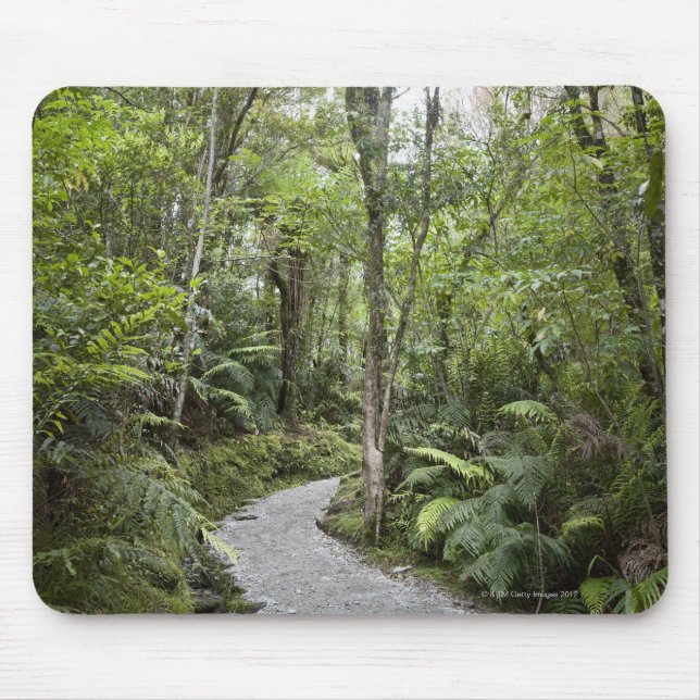 A path through a rain forest at the base of mouse pad (Front)