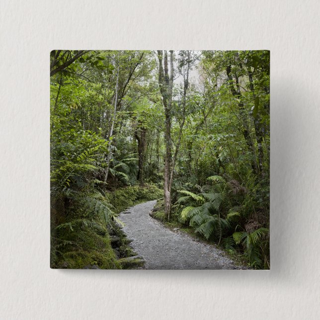 A path through a rain forest at the base of pinback button (Front)