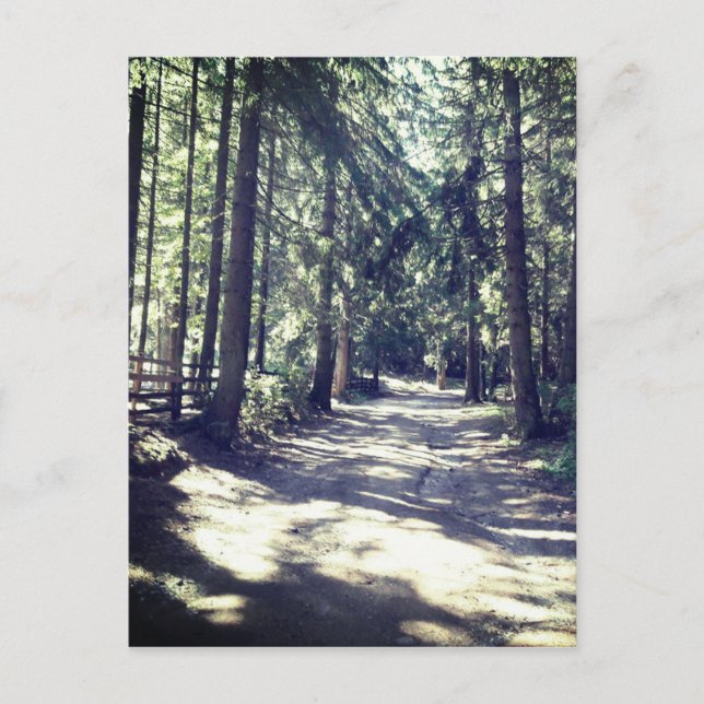 A Path Through the Forest Postcard (Front)