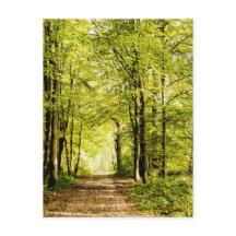 A pathway covered by leaves in a magica forest