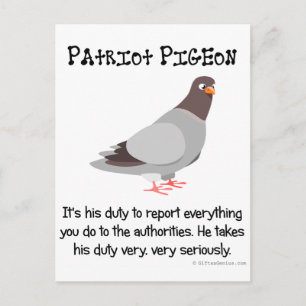 A patriot spies on his neighbors postcard