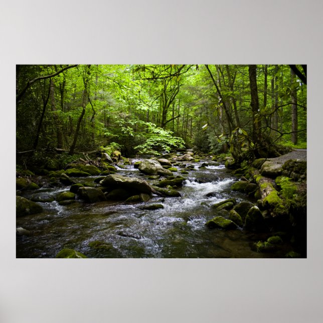 A Peaceful Smoky Mountain Stream Poster (Front)
