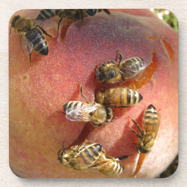A Peach For The Bees Drink Coaster (Front)
