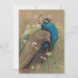 A Peacock and Marguerites Edwin John Alexander