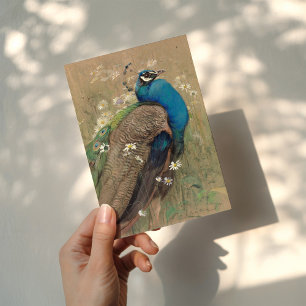 A Peacock and Marguerites Edwin John Alexander Card