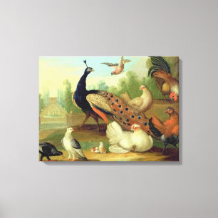 A Peacock, Doves, Chickens and a Jay in a Park Canvas Print