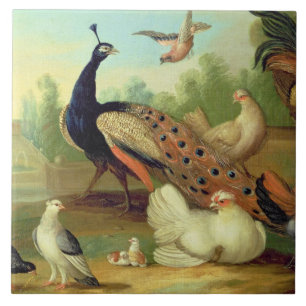 A Peacock, Doves, Chickens and a Jay in a Park Ceramic Tile