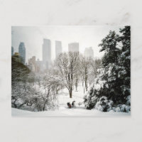 A Pedicab in Central Park During Winter