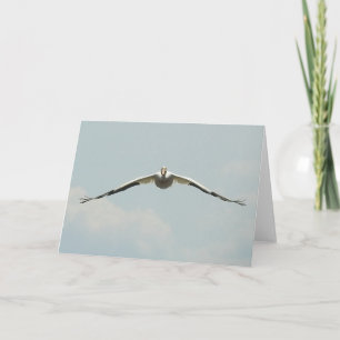 A Pelican Soaring over the Mississippi River Card