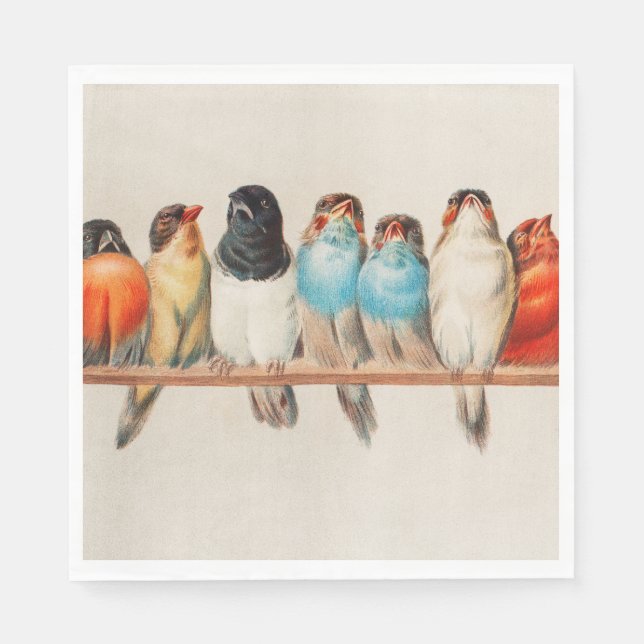 A Perch of Birds, 1880 by Hector Giacomelli Napkins (Front)