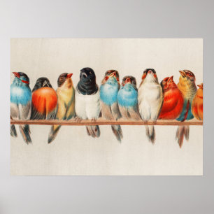 A Perch of Birds, 1880 by Hector Giacomelli Poster
